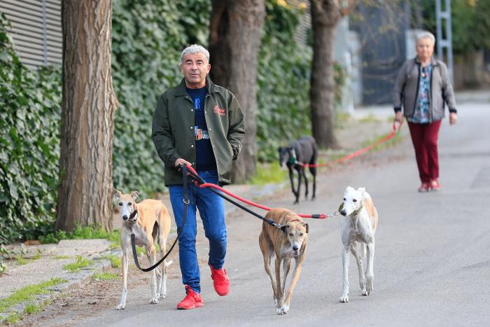 Vacaciones con perros en España - Dónde ir, mejores playas