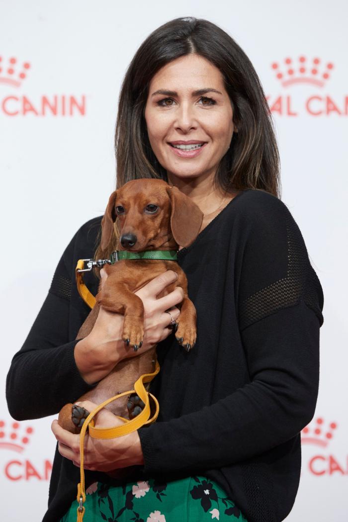 Vacaciones con perros en España - Dónde ir, mejores playas