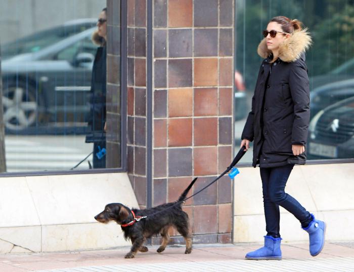 Vacaciones con perros en España - Dónde ir, mejores playas