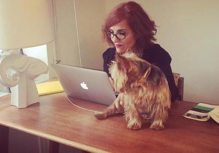 Vacaciones con perros en España - Dónde ir, mejores playas