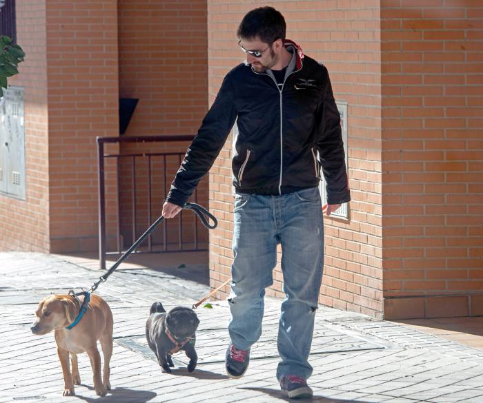 Vacaciones con perros en España - Dónde ir, mejores playas