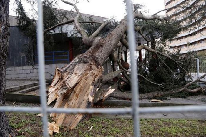 Un temporal dañino, sobre todo para Galicia (FOTOS)