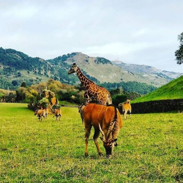 La portada de una revista de 1973 que comparten cientos de personas: dicen que lo explica todo de España