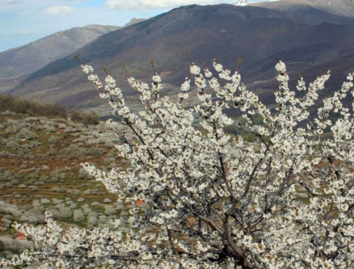 La portada de una revista de 1973 que comparten cientos de personas: dicen que lo explica todo de España