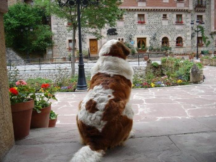 Doce hoteles que no te puedes perder si viajas con niños