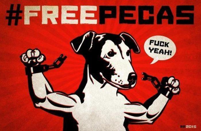 Una concentración en Madrid para pedir la "libertad" del perro de Aguirre (FOTOS)