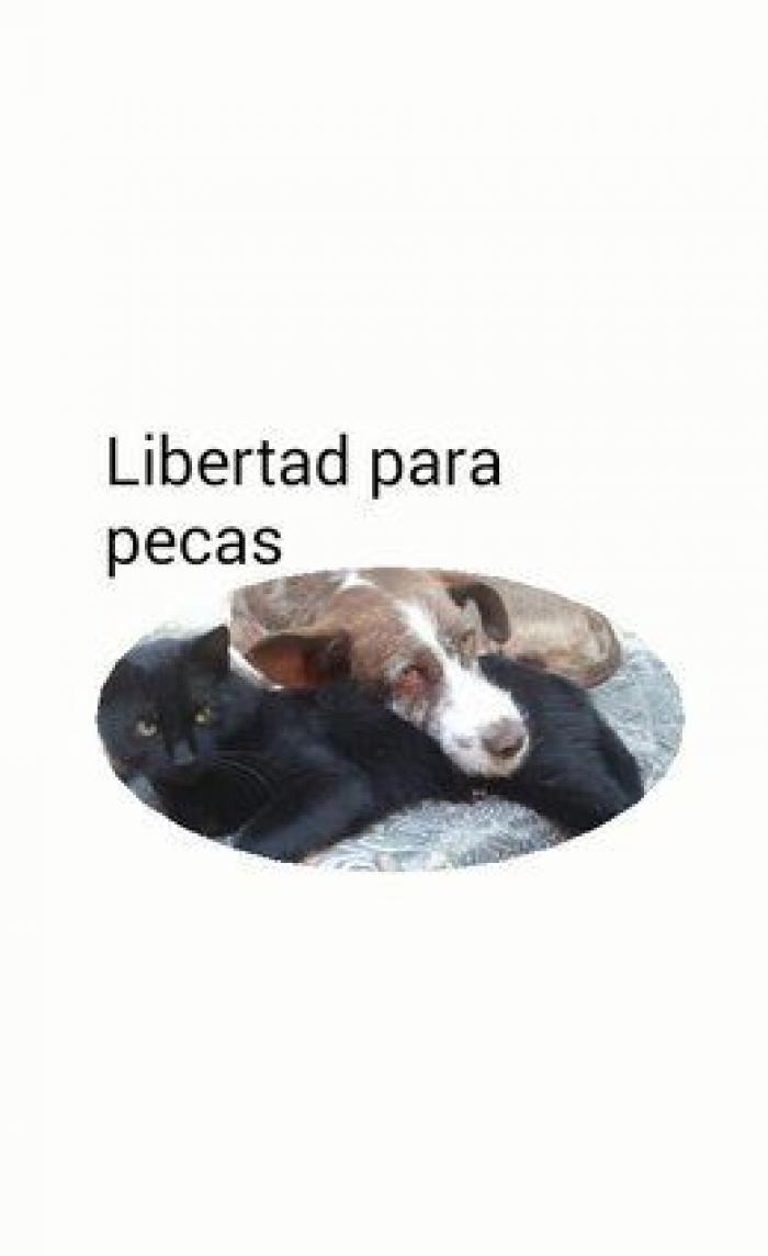 Una concentración en Madrid para pedir la "libertad" del perro de Aguirre (FOTOS)