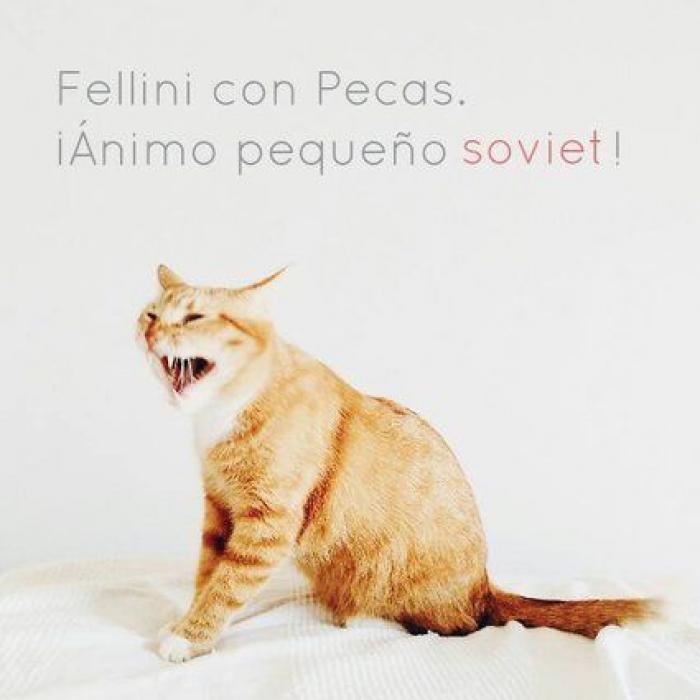 Una concentración en Madrid para pedir la "libertad" del perro de Aguirre (FOTOS)