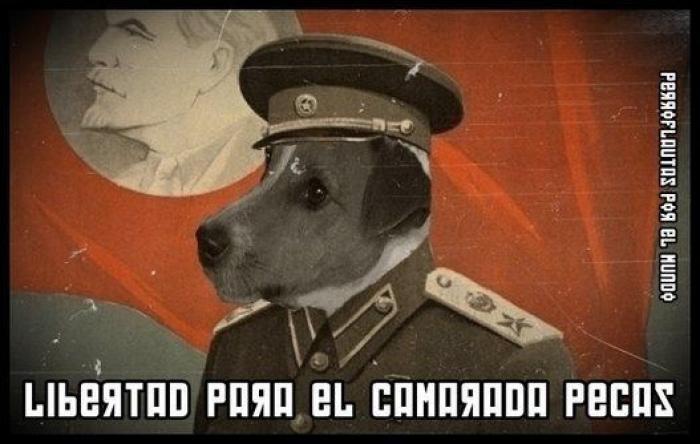 Una concentración en Madrid para pedir la "libertad" del perro de Aguirre (FOTOS)