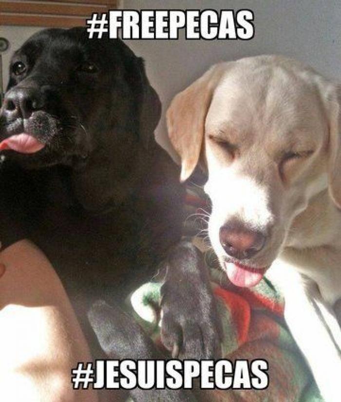 Una concentración en Madrid para pedir la "libertad" del perro de Aguirre (FOTOS)