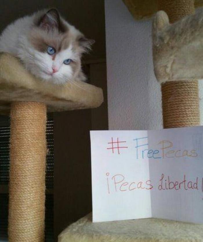 Una concentración en Madrid para pedir la "libertad" del perro de Aguirre (FOTOS)