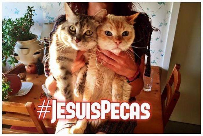 Una concentración en Madrid para pedir la "libertad" del perro de Aguirre (FOTOS)