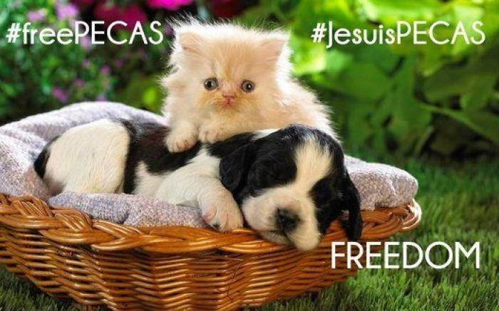 Una concentración en Madrid para pedir la "libertad" del perro de Aguirre (FOTOS)