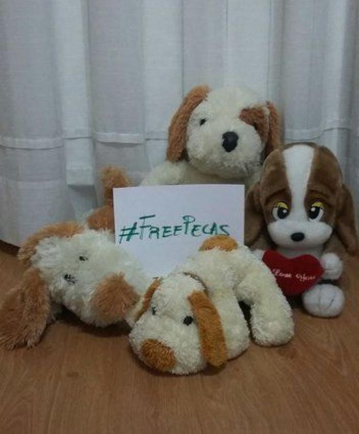 Una concentración en Madrid para pedir la "libertad" del perro de Aguirre (FOTOS)