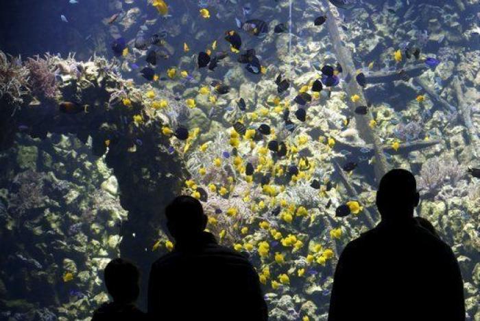 Adiós a los 'candados del amor' en el Puente de las Artes de París y otras fotos que deja el lunes