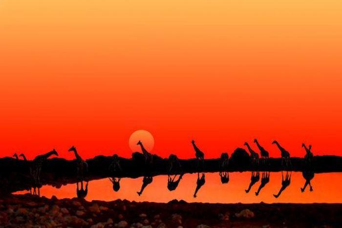 14 fotos de paisajes y sus reflejos que te pondrán patas arriba