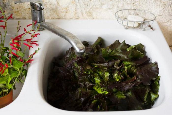 Por si no lo sabías: hay materia fecal en prácticamente todo