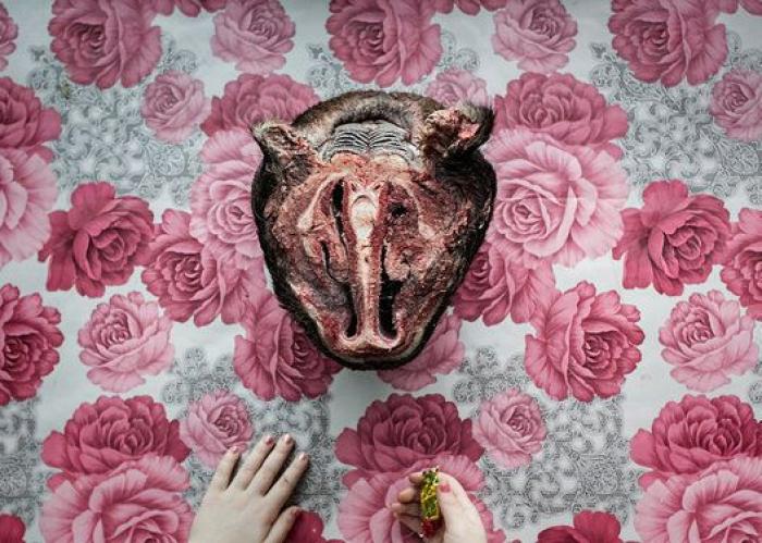 Todas las fotos premiadas en el World Press Photo 2017