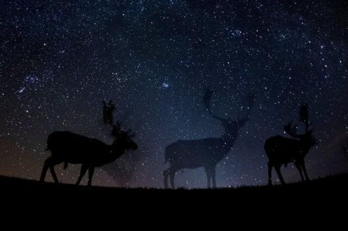 Todas las fotos premiadas en el World Press Photo 2017