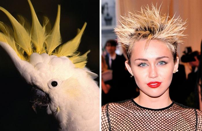 Paco León cambia de imagen para una película