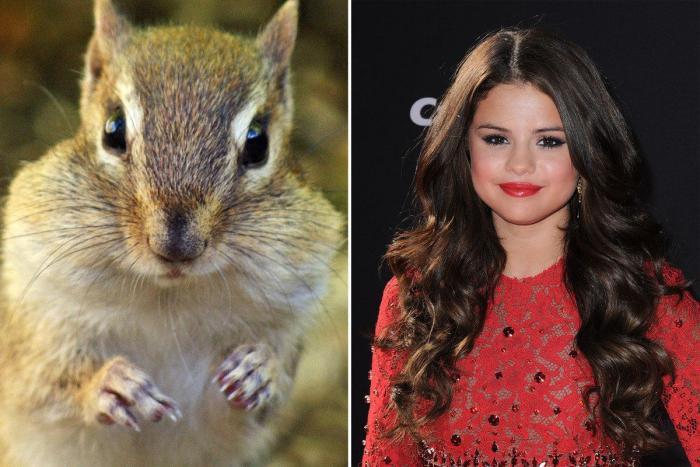 Paco León cambia de imagen para una película