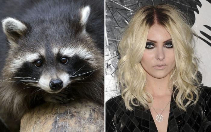 Paco León cambia de imagen para una película