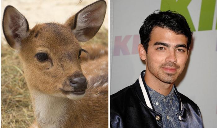 Paco León cambia de imagen para una película