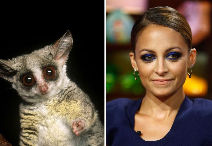 Paco León cambia de imagen para una película