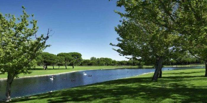 Correa involucra a media docena de cargos del PP en Majadahonda y Boadilla del Monte