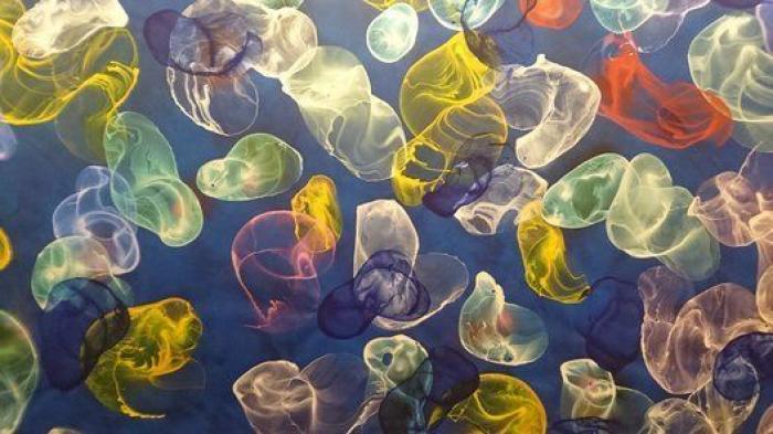 Consejos para los que quieren comprar arte (y no saben cómo)