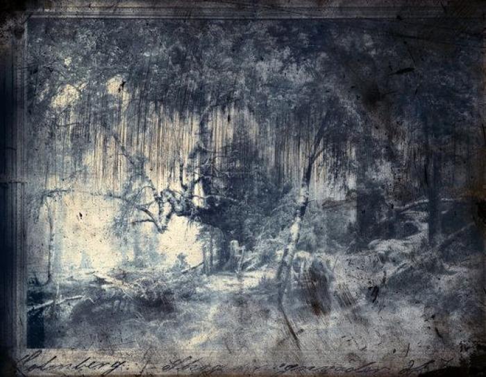 Consejos para los que quieren comprar arte (y no saben cómo)