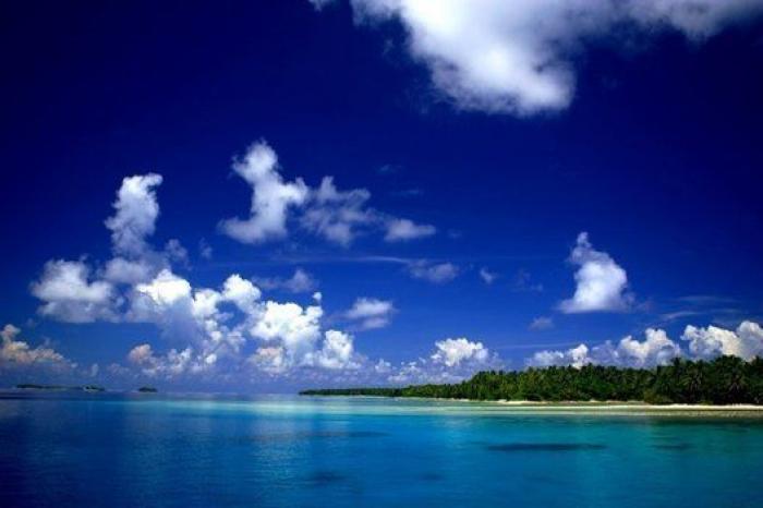 El furor por el aguacate en Occidente tiene consecuencias nefastas para América Latina