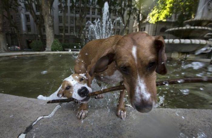 Una segunda ola de calor llegará este viernes