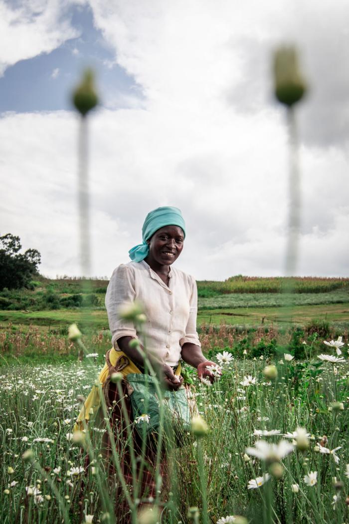 Todos los ganadores de los Sony World Photography Awards