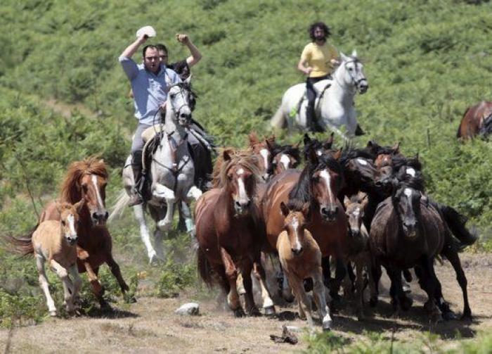 Rapa das Bestas 2015: 15 imágenes espectaculares de un rito único (FOTOS)
