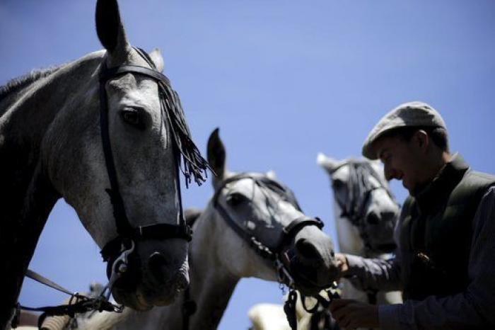 Rapa das Bestas 2015: 15 imágenes espectaculares de un rito único (FOTOS)