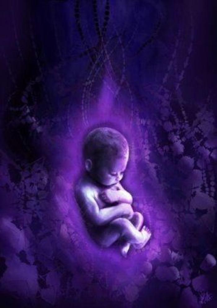 Pijaditas de lujo que querrás tener (y no podrás)