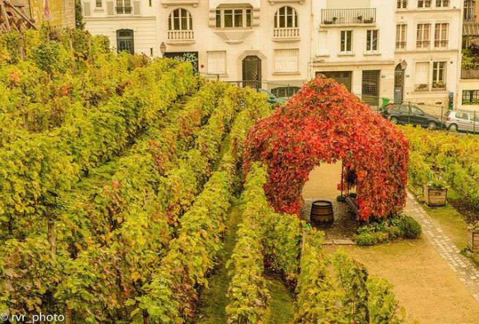 Seis rincones románticos (y poco convencionales) de París