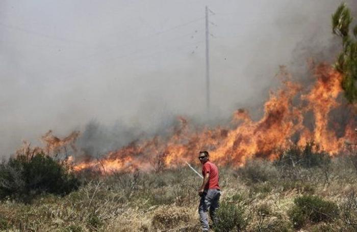 Cuatro incendios siguen activos en Grecia, uno de ellos en Atenas