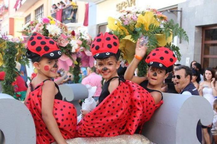 Una mirada sobre la Bajada de la Virgen en La Palma