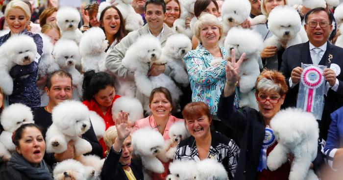 Así de guapos se han puesto estos perros en el mayor evento canino del mundo (FOTOS)