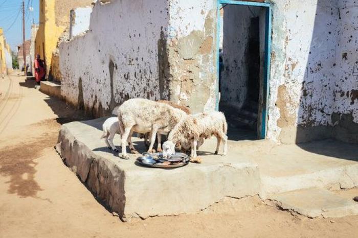 ¿Cómo es la vida en la sociedad egipcia de Nubia? (FOTOS)