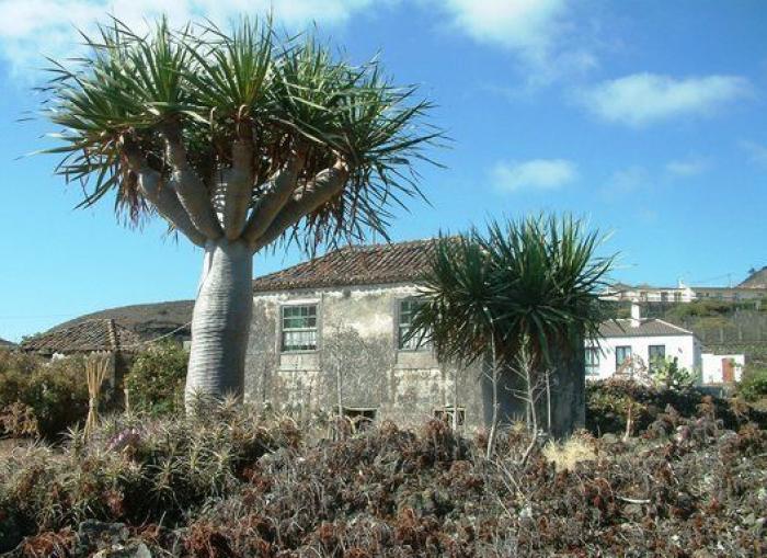 Arquitectura rural de San Miguel de La Palma