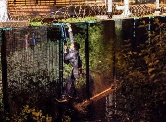 Criticas a Cameron por tratar a los inmigrantes como a insectos al calificarles de "plaga"