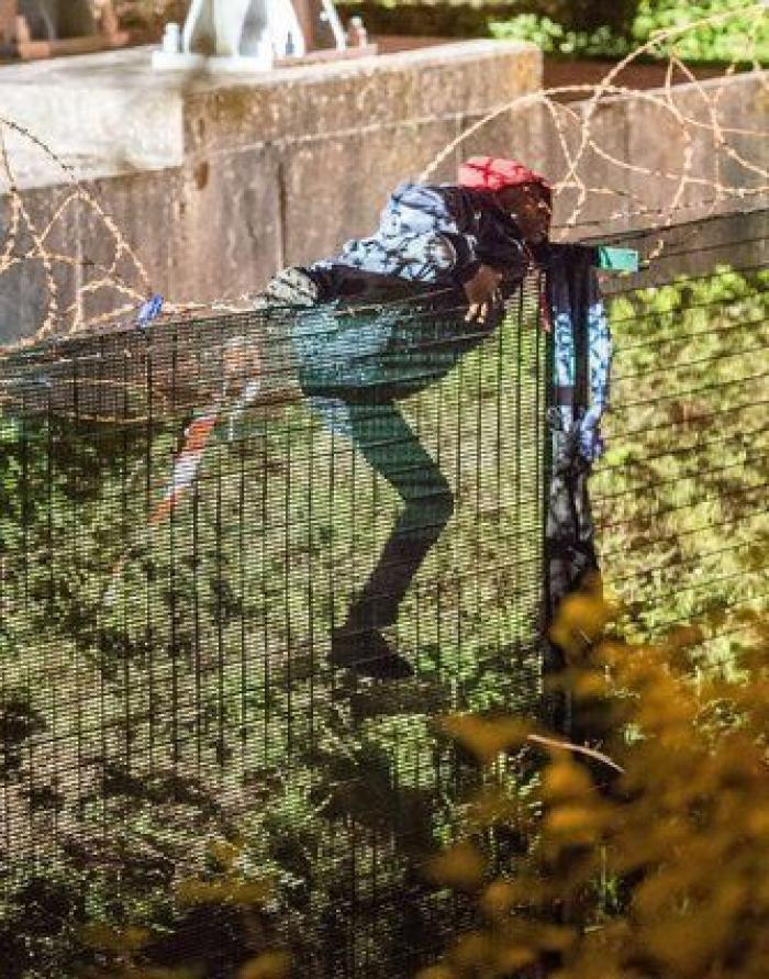 Criticas a Cameron por tratar a los inmigrantes como a insectos al calificarles de "plaga"