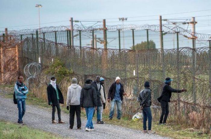 Criticas a Cameron por tratar a los inmigrantes como a insectos al calificarles de "plaga"