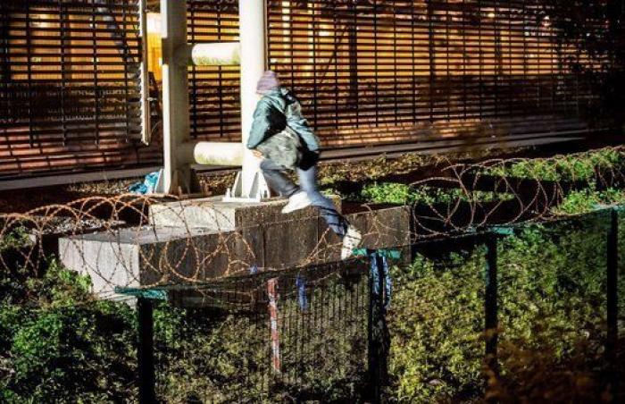 Criticas a Cameron por tratar a los inmigrantes como a insectos al calificarles de "plaga"