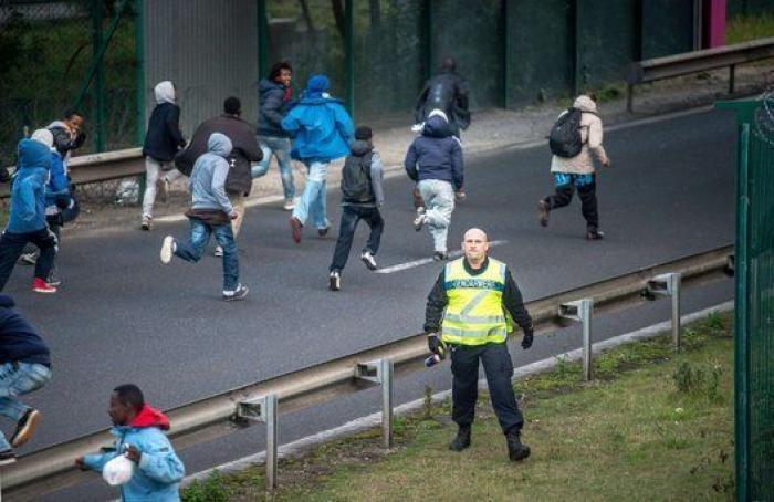 Criticas a Cameron por tratar a los inmigrantes como a insectos al calificarles de "plaga"
