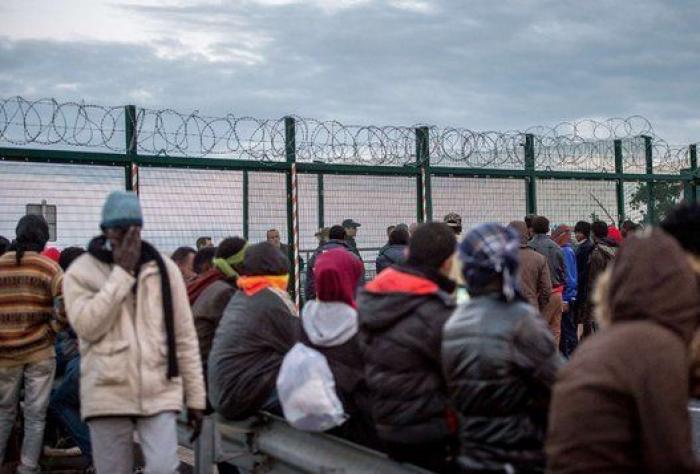 Criticas a Cameron por tratar a los inmigrantes como a insectos al calificarles de "plaga"