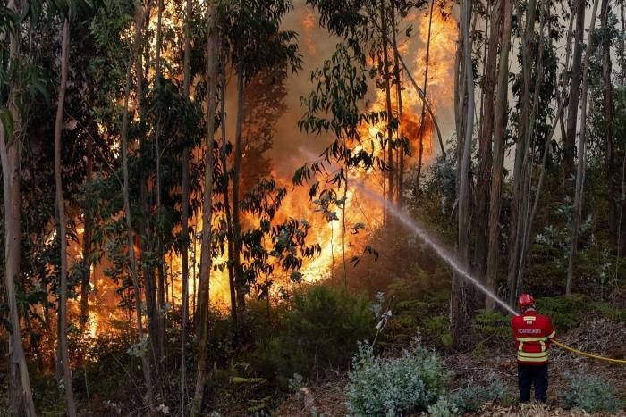 El gobierno de Portugal supera una moción de censura por su gestión de los incendios